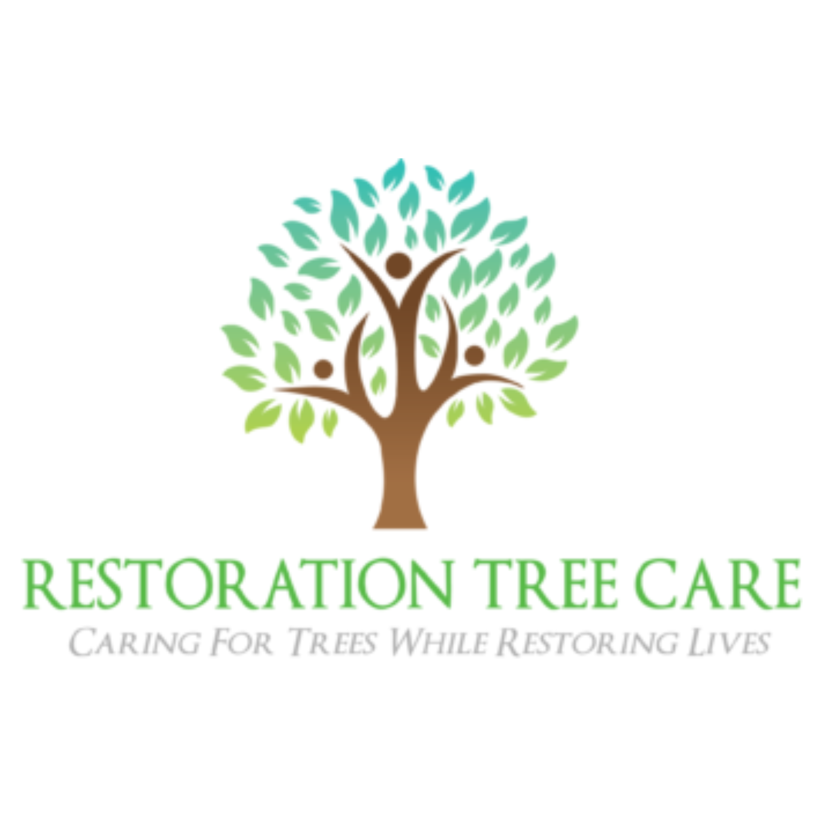 Restoration Tree Care | Stump